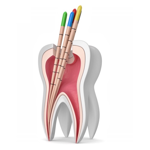 endodoncija